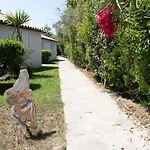 A Suara בית נופש *